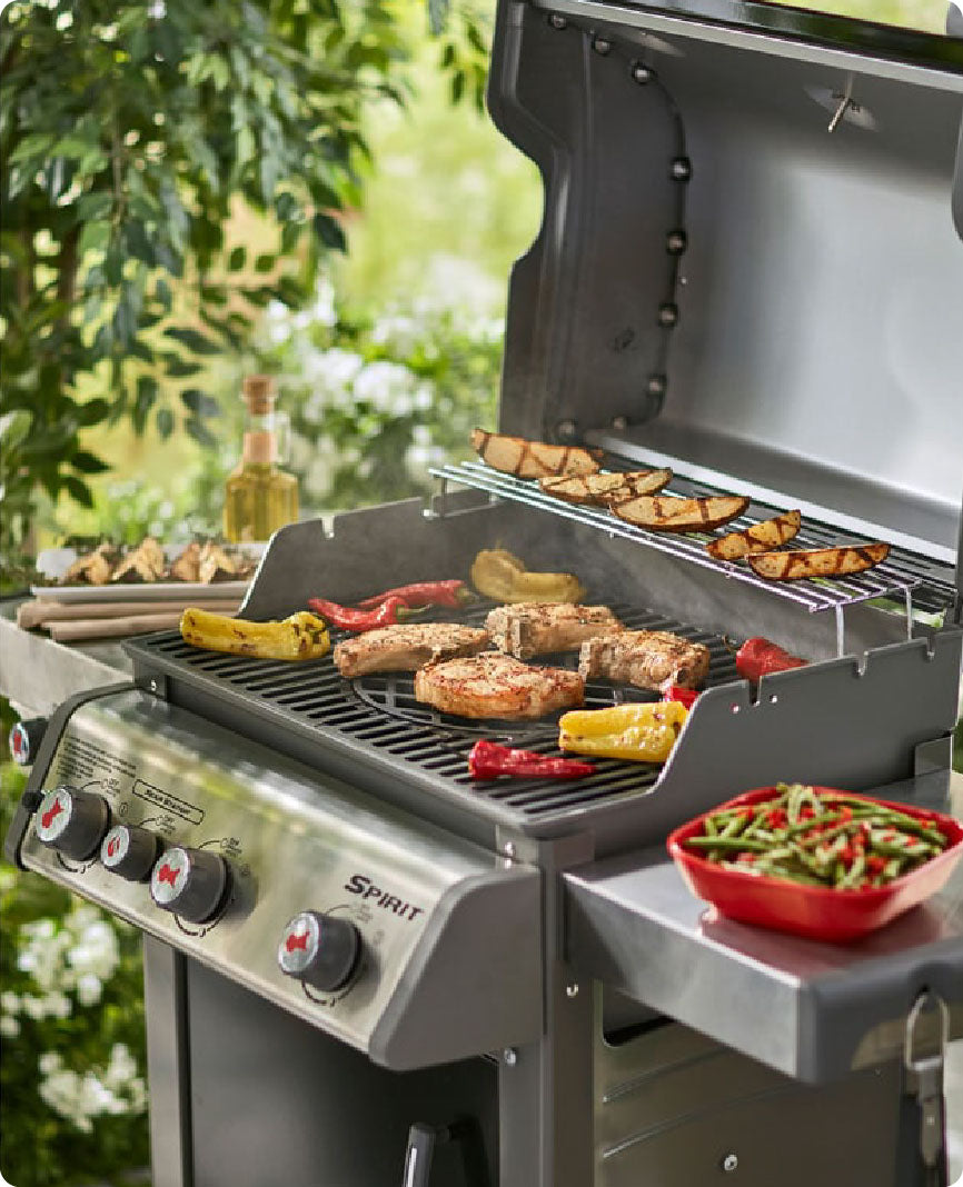 Asadores de Gas Natural o Propano